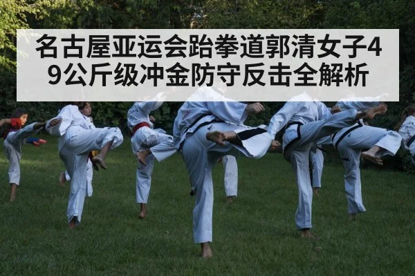 taekwondo kick